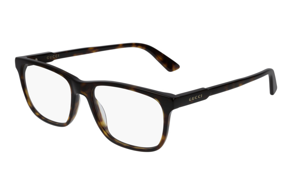 Gucci   GG0490O 002 havana-havana-transparent