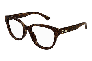 Chloé CH0243O 006 HAVANA