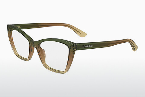Gafas de diseño Calvin Klein CK24523 343