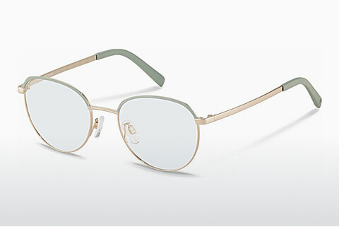 Gafas de diseño Rodenstock R2657 B000