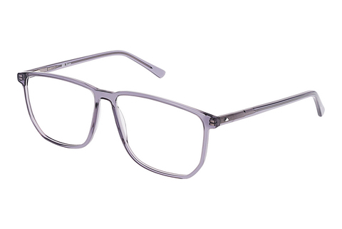 Gafas de diseño Sur Classics Roger (12519 grey)