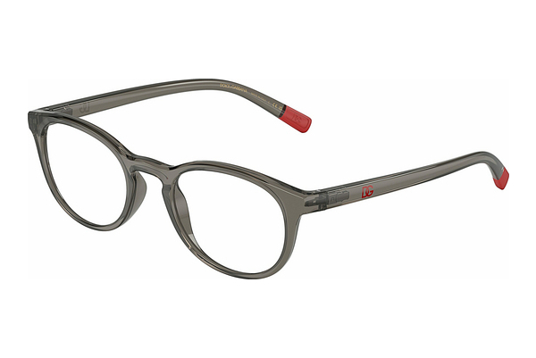 Gafas de diseño Dolce & Gabbana DG5090 3160