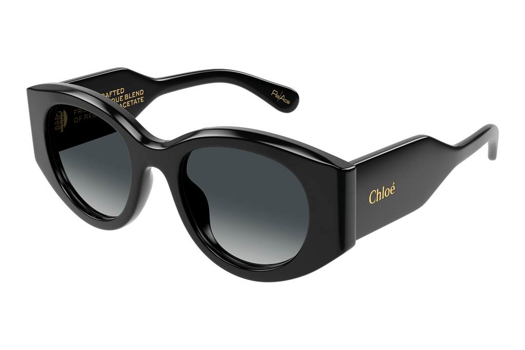 Chloé   CH0251S 001 BLACK