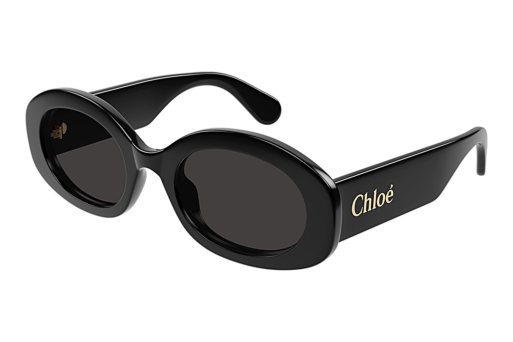 Chloé   CH0258S 001 BLACK