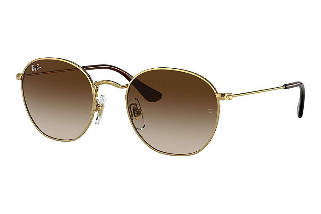 Ray-Ban Kids   RJ9572S 223/13 BrownArista Gold