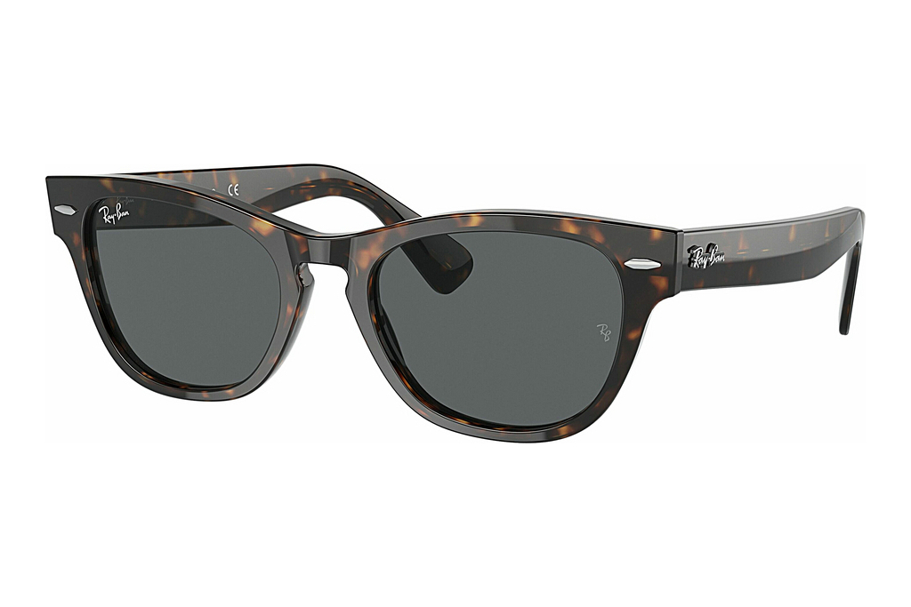 Ray-Ban   RB2201 902/B1 Dark GreyTortoise