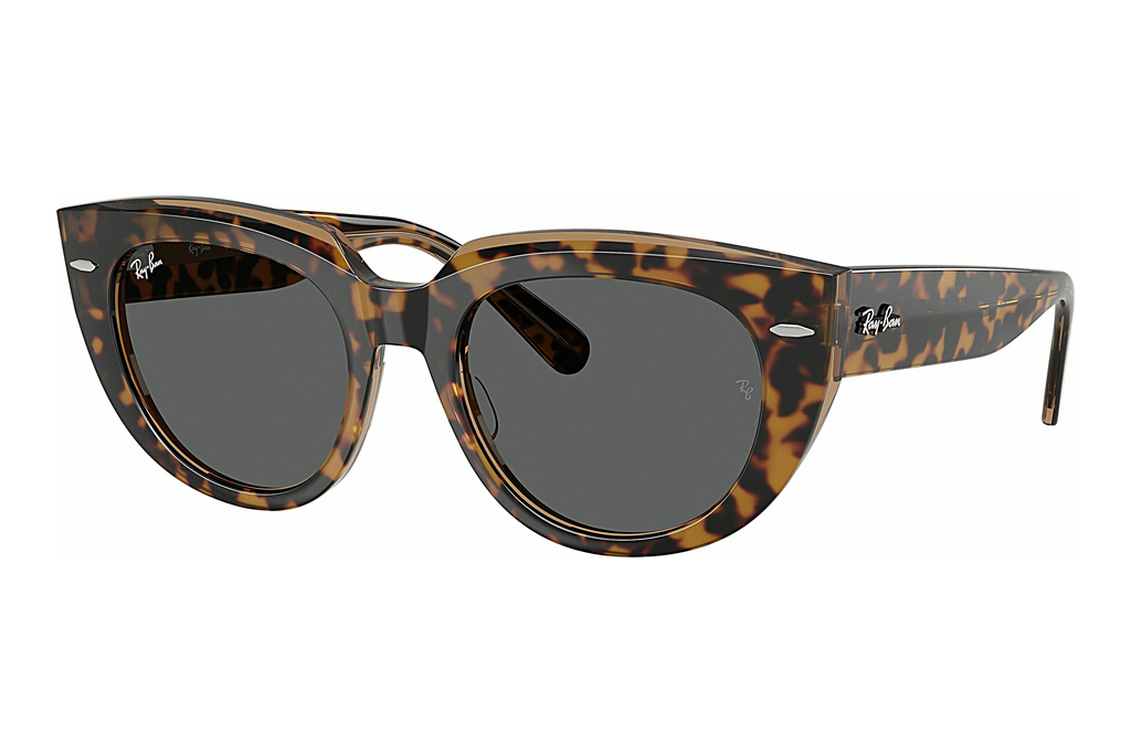 Ray-Ban   RB2286 1292B1 Dark GreyHavana On Transparent Brown