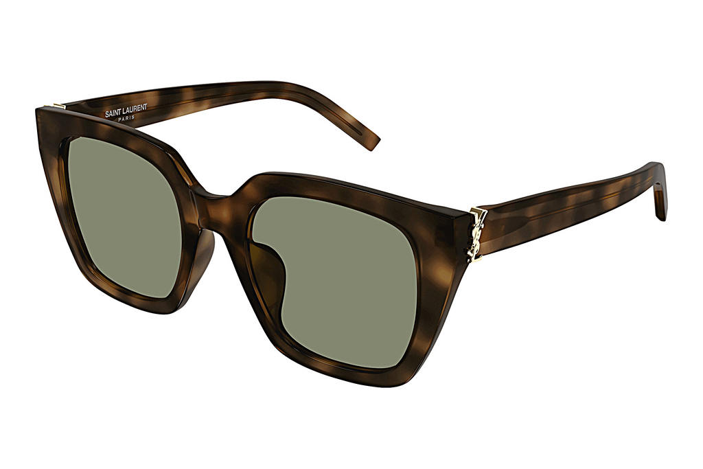 Saint Laurent   SL M143 003 HAVANA