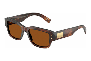 Dolce & Gabbana DG4483 322273 Dark BrownDark Red Havana