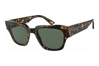 Giorgio Armani AR8147 502271