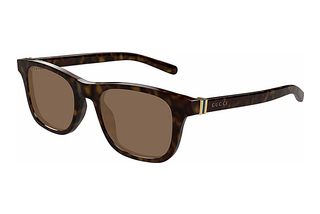 Gucci GG1671S 002 HAVANA