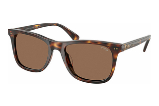 Polo PH4220U 613773 Dark BrownShiny Brown Tortoise