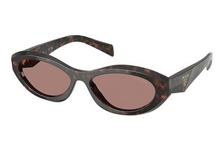 Prada PR 26ZS 17N60B Light BrownRoot Tortoise