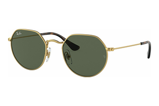 Ray-Ban Kids RJ9565S 223/71 GreenArista Gold