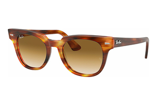 Ray-Ban RB2168 954/51 CLEAR GRADIENT BROWNSTRIPED HAVANA