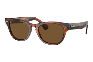 Ray-Ban RB2201 954/57