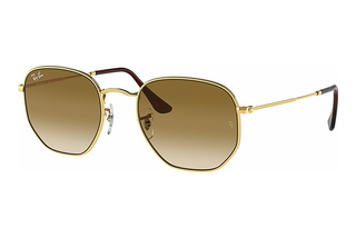 Ray-Ban RB3548 001/51 Light Brown GradientGold