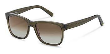 Rocco by Rodenstock RR339 C olive green