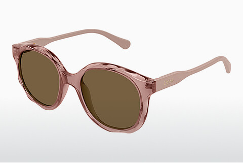 Gafas de visión Chloé CC0019S 002