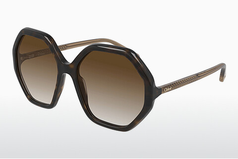 Gafas de visión Chloé CH0008S 004