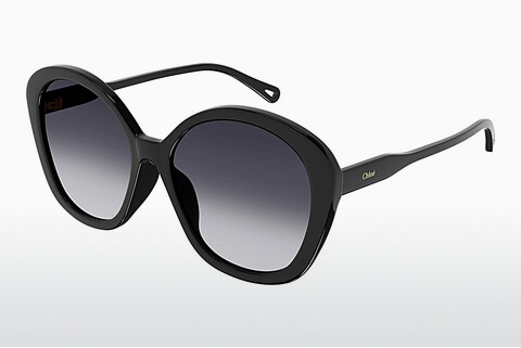 Gafas de visión Chloé CH0081S 005