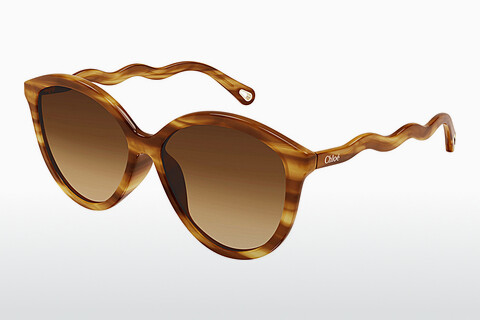 Gafas de visión Chloé CH0087S 002