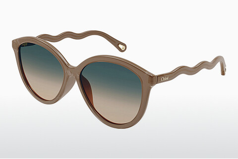 Gafas de visión Chloé CH0087S 003