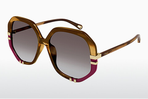 Gafas de visión Chloé CH0105S 009