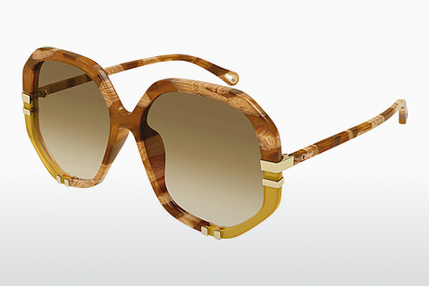 Gafas de visión Chloé CH0105S 011