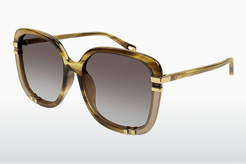 Gafas de visión Chloé CH0106SA 006