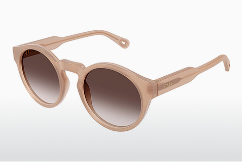 Gafas de visión Chloé CH0158S 004