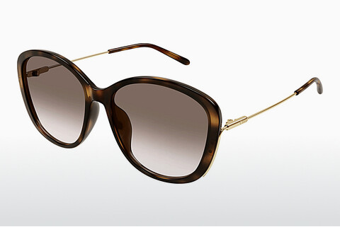 Gafas de visión Chloé CH0175SK 002