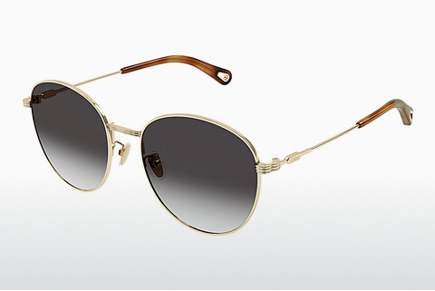 Gafas de visión Chloé CH0181SK 001