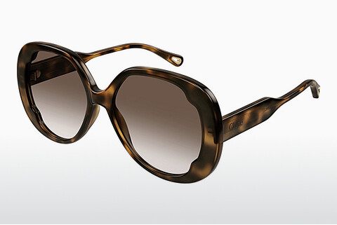 Gafas de visión Chloé CH0195SK 002