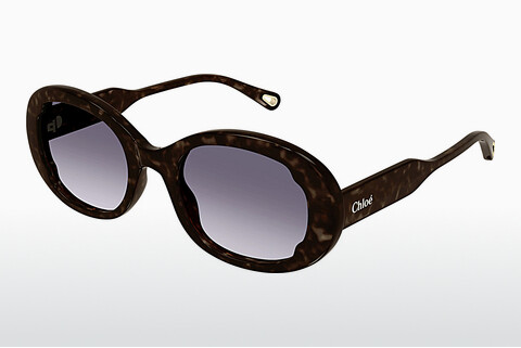 Gafas de visión Chloé CH0197S 002