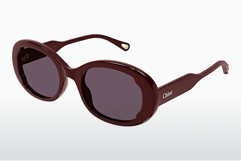 Gafas de visión Chloé CH0197S 004