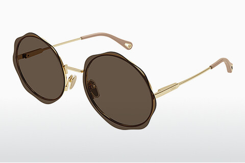 Gafas de visión Chloé CH0202S 004