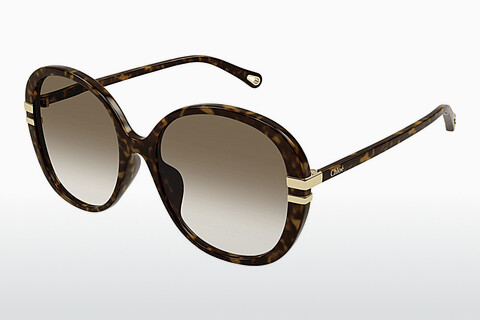 Gafas de visión Chloé CH0207SK 002