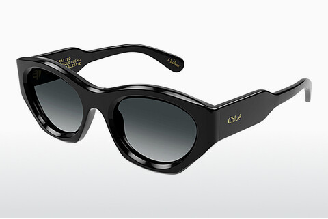 Gafas de visión Chloé CH0220S 001