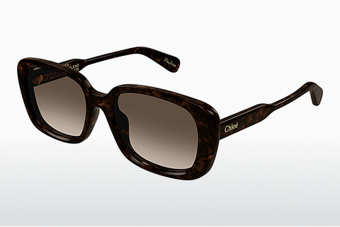 Gafas de visión Chloé CH0225SK 002