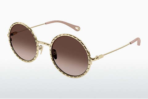 Gafas de visión Chloé CH0230S 002