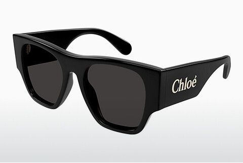 Gafas de visión Chloé CH0233S 001