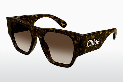 Gafas de visión Chloé CH0233S 002