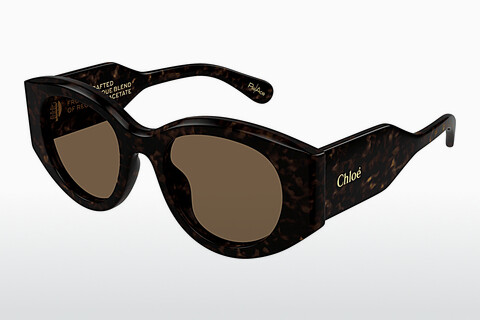 Gafas de visión Chloé CH0251S 002