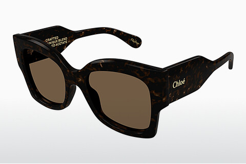 Gafas de visión Chloé CH0252S 002