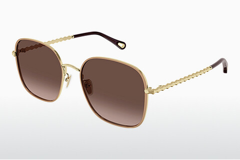 Gafas de visión Chloé CH0255SK 004