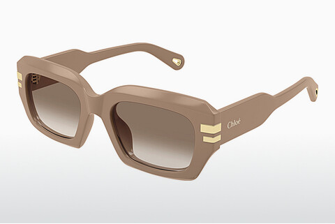 Gafas de visión Chloé CH0256S 005