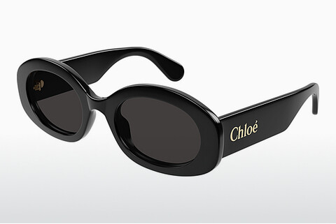 Gafas de visión Chloé CH0258S 001