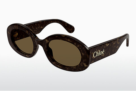 Gafas de visión Chloé CH0258S 002