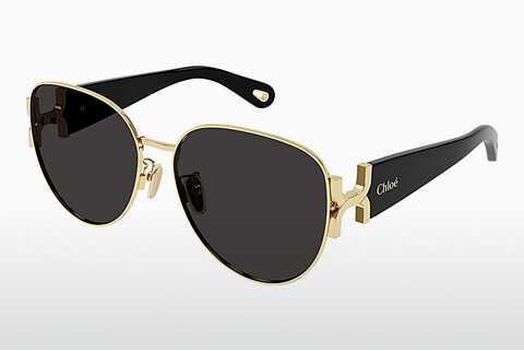 Gafas de visión Chloé CH0261SK 001